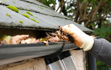 gutter cleaning Seaton