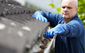 cleaning and inspecting Seaton roofs